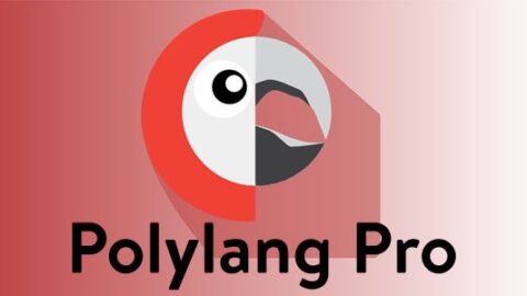 Plugin Polylang Pro