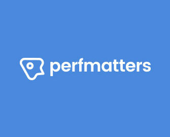 Plugin Perfmatters – Lightweight WordPress Performance